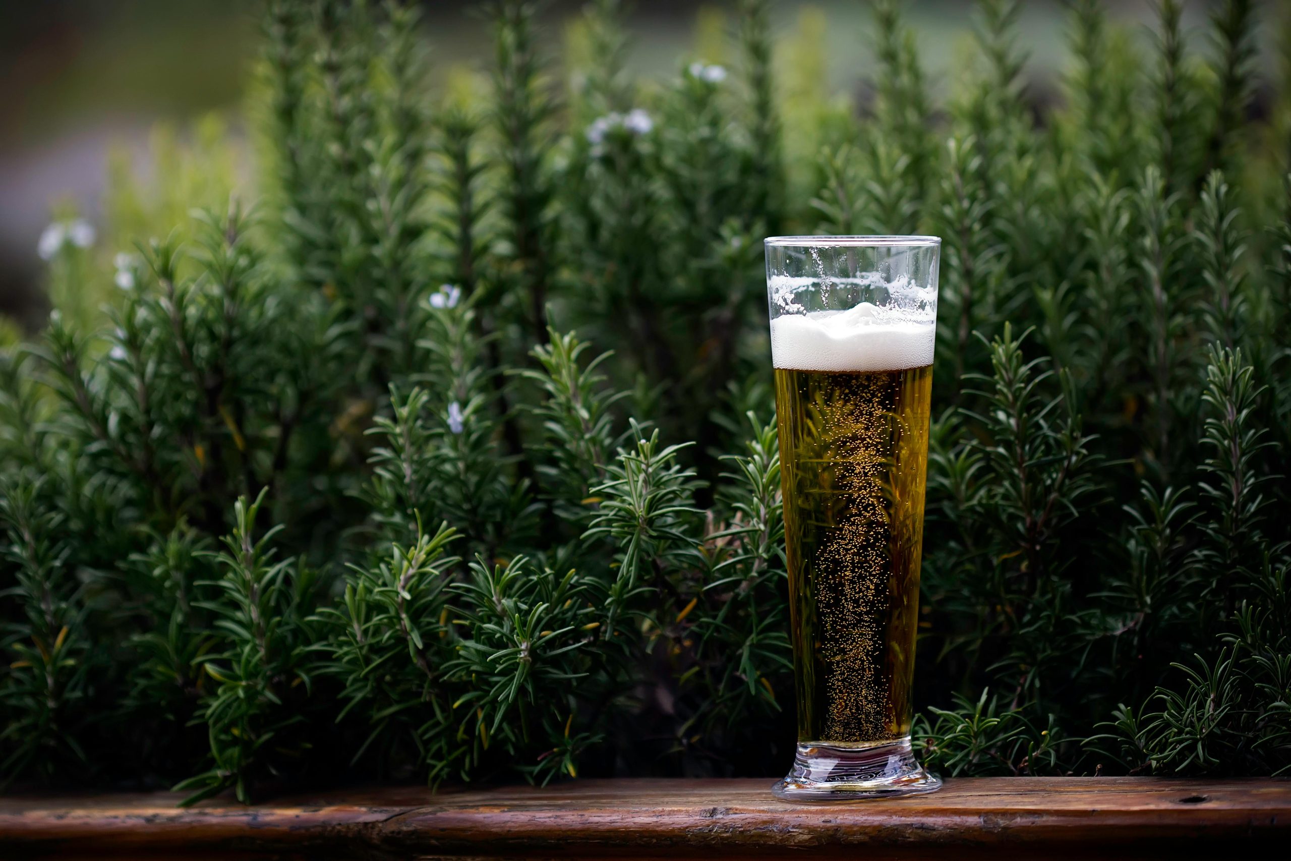 An alcoholic beverage sitting on a bench